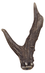 parohová vidlička na pirschstock