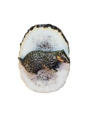 Jezevec (parohové bolo - řez)