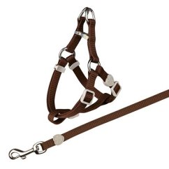 Nylonový postroj s vodítkem pro kočku 26-37cm/10mm, 1,20m