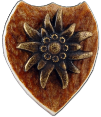 Protěž (parohové bolo)