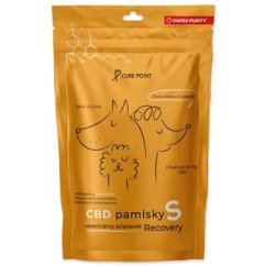 Pochoutka CBD Recovery S 100g