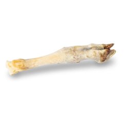 KIDDOG 100 % Natural Snack jehněčí nožka přírodní - 1 ks / bal., 20 cm