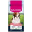 Krmivo EUKANUBA Senior Small and Medium rich in lamb 12kg