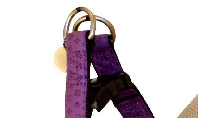 Postroj Mylord fialový 1x25-40 cm