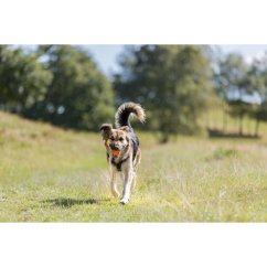 Plovoucí vrhací míč na šňůře