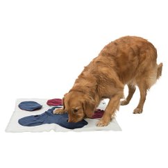 Dog Activity čichací  deka, 70 x 70 cm