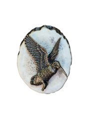 Sluka (parohové bolo - řez)