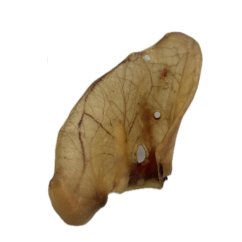 Ucho vepřové sušené Maxi 50 ks