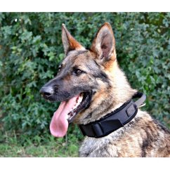 Obojek podšitý s uchem 55 x 4 cm