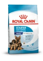 Royal Canin SHN Dog Maxi Starter Mother&Babydog