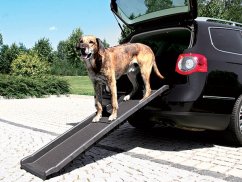 Rampa pro psy 40x156 cm černá