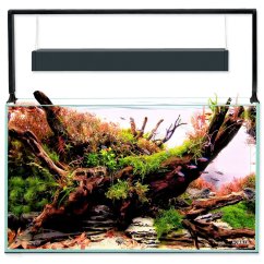 Akvarijní set Aquael Ultrascape 60 forest, 64,8l