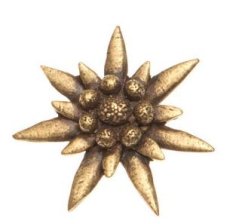 Alpská protěž (odznak na klobouk)