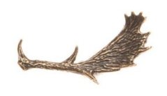 Dančí shoz (odznak na klobouk)