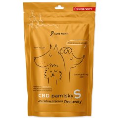 Pochoutka CBD Recovery S 100g