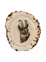 kamzík (parohové bolo růže)