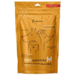Pochoutka CBD Recovery M 100g