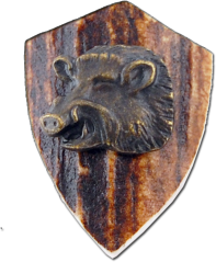 Divočák (parohové bolo)