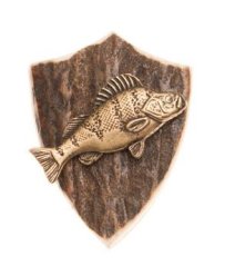 Okoun (parohové bolo)