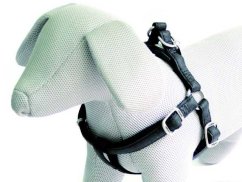 Postroj Mylord černý 2,5x60-100 cm