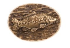 Kapr lysec (parohové bolo)