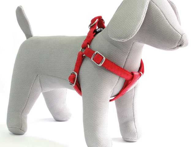 Postroj Mylord červený 2x50-75 cm