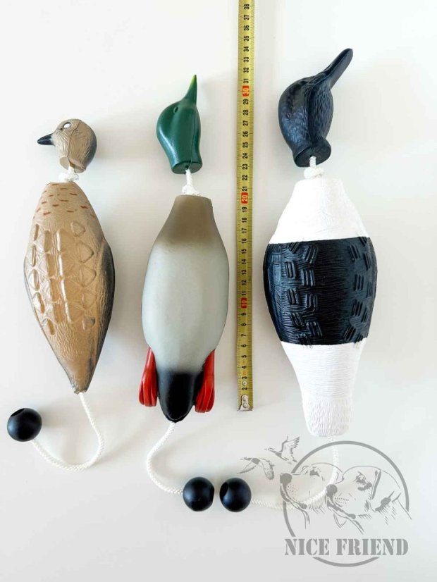 Kachna hnědá - atrapa