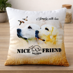 Polštář plyšový s Merch Nice Friend