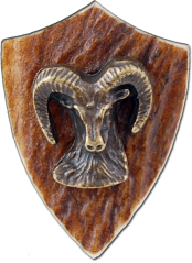 Muflon (parohové bolo)