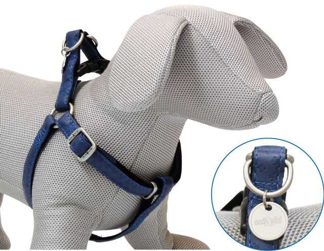 Postroj Mylord modrá  2,5x60-100 cm