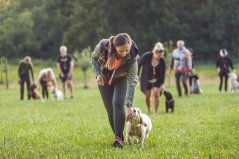 Víkenďák Nice Friend