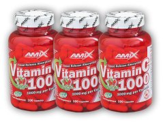 3x Vitamin C 1000mg + Rose Hips 100 cps