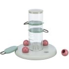 Cat Activity, Agility