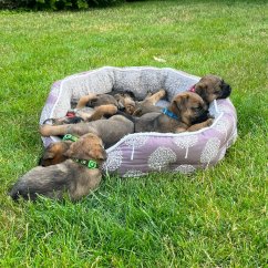 Pelíšek Koruna plyš JUKO S