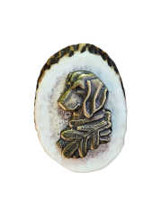 Hlava jezevčíka (parohové bolo - řez)