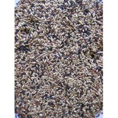 Deli Nature Premium kanárek 4 kg 