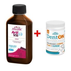 Vitar veterinae Artivit sirup 200 ml + DentON ZDARMA
