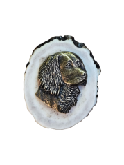 Hlava psa (parohové bolo - řez)