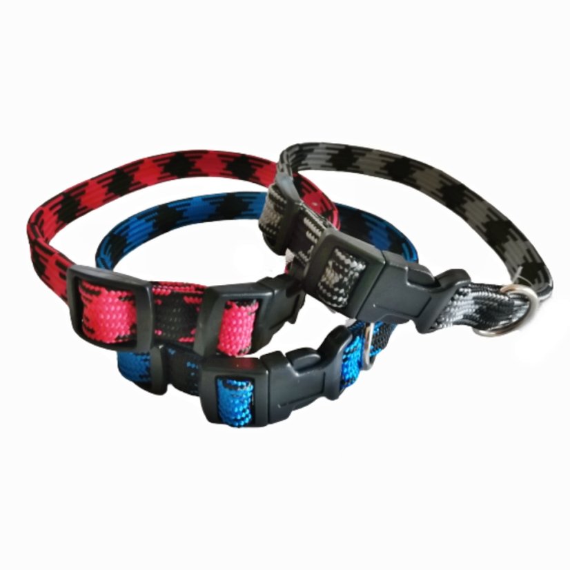 Obojek popruh rozlišovací 40 x 1,3 cm