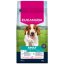 Krmivo EUKANUBA Adult Small and Medium rich in salmon and barley 12kg