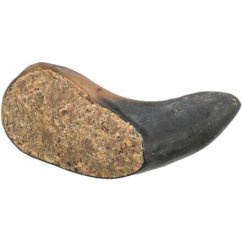 Buffalo Horn, buvolí roh plněný buvolí rohovinou a šlachou,  10-14 cm