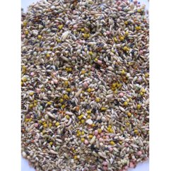 Deli Nature Birdelicious kanárek 800 g