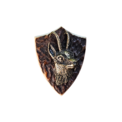 Kamzík (parohové bolo)