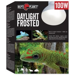 Žárovka Repti Planet Daylight Frosted 100W