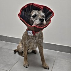 Límec ochranný na suchý zip XXXL