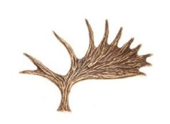 Losí lopata (odznak na klobouk)