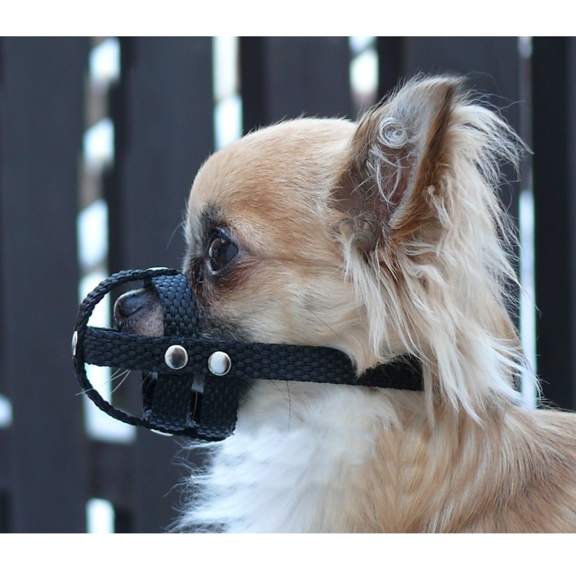 Náhubek popruh nylon č.00