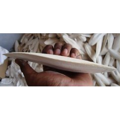 Sépiová kost velká cca 20 cm (10 ks) 