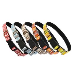 Obojek popruh kytka 40 x 1,6 cm