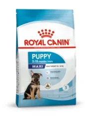 Royal Canin SHN Dog Maxi Puppy